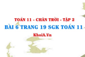Bài 6 trang 19 Toán 11 Tập 2 Chân trời sáng tạo